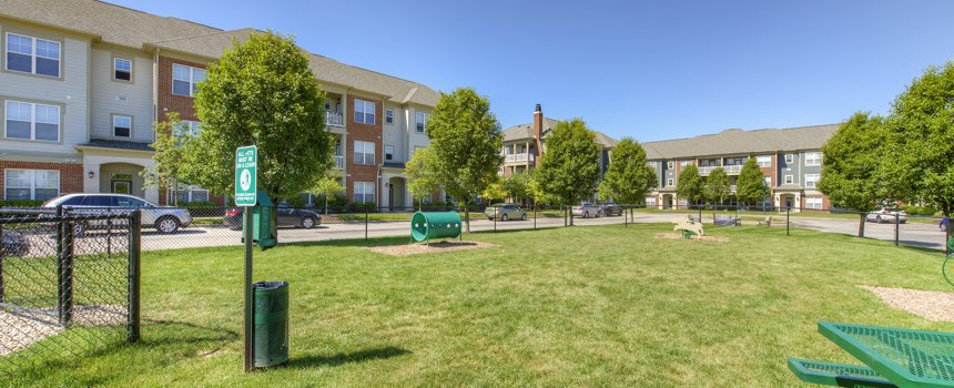 Picture of dog park in our Fishers apartment community